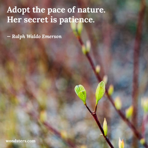 adopt-the-pace-of-nature-her-secret-is-patience