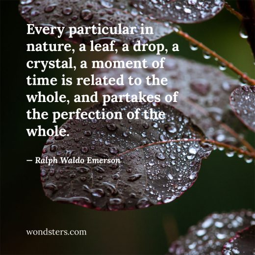 Every particular in nature, a leaf, a drop, a crystal, a moment of time is related to the whole, and partakes of the perfection of the whole