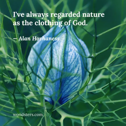 I've always regarded nature as the clothing of God.