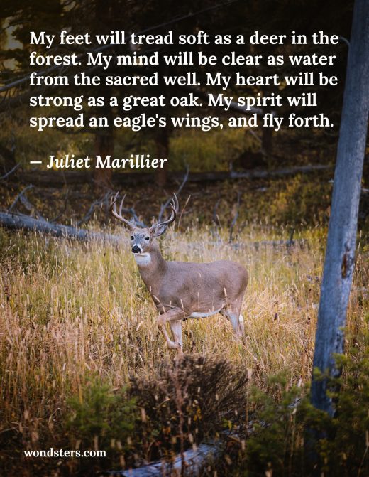 my-feet-will-tread-soft-as-a-deer-in-the-forest