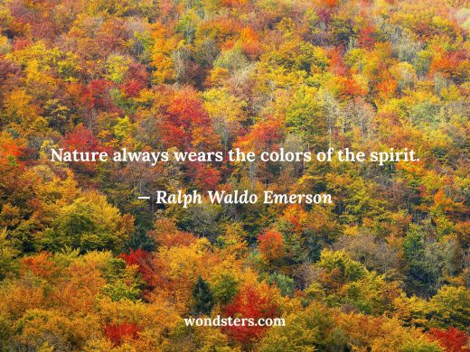 nature-always-wears-the-colors-of-the-spirit