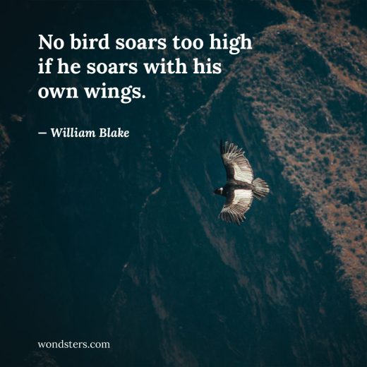 soaring-high