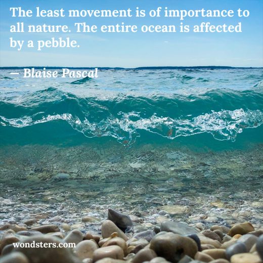 The least movement is of importance to all nature