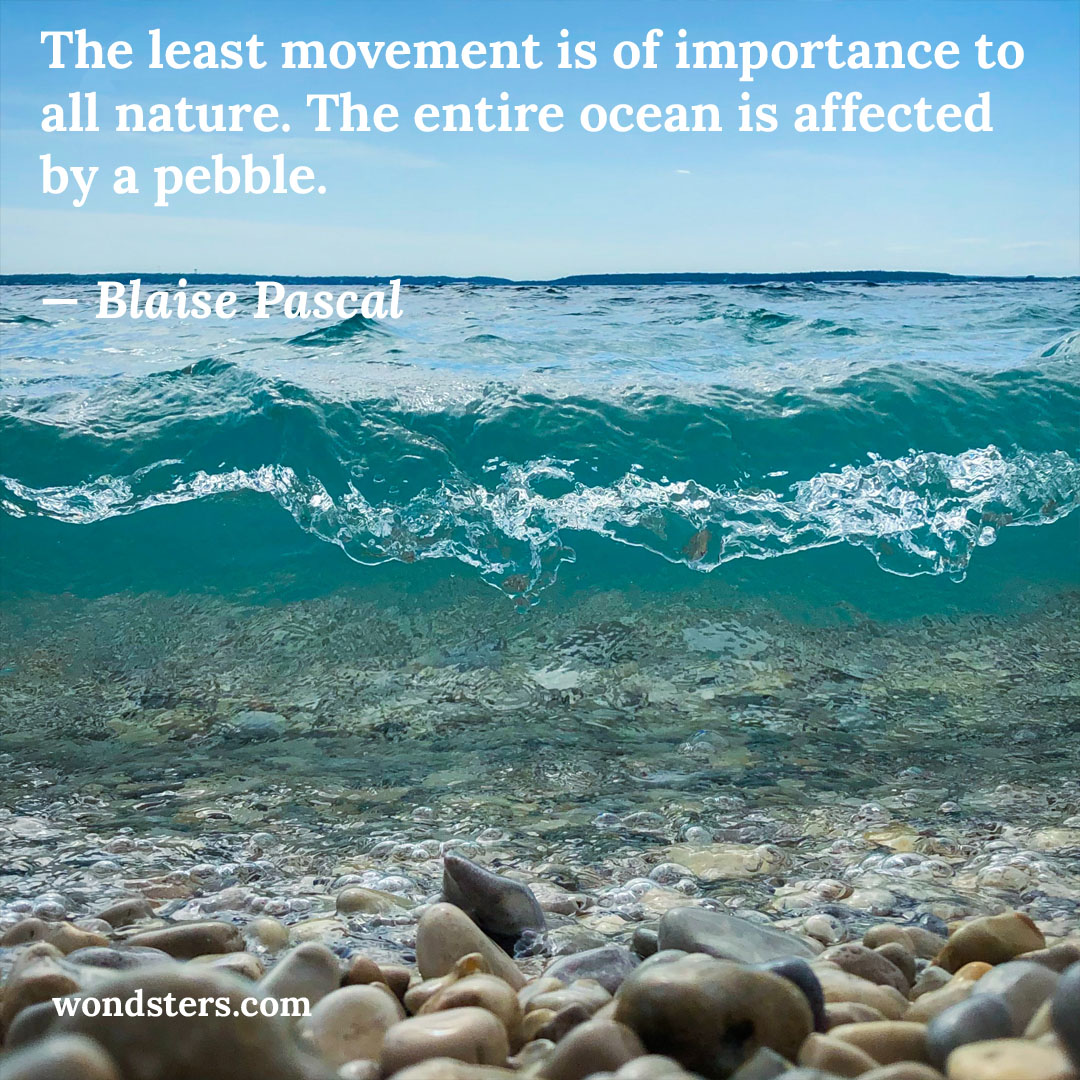 The least movement is of importance to all nature