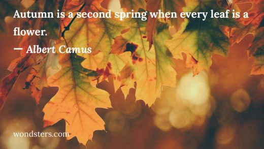 Autumn is a second spring