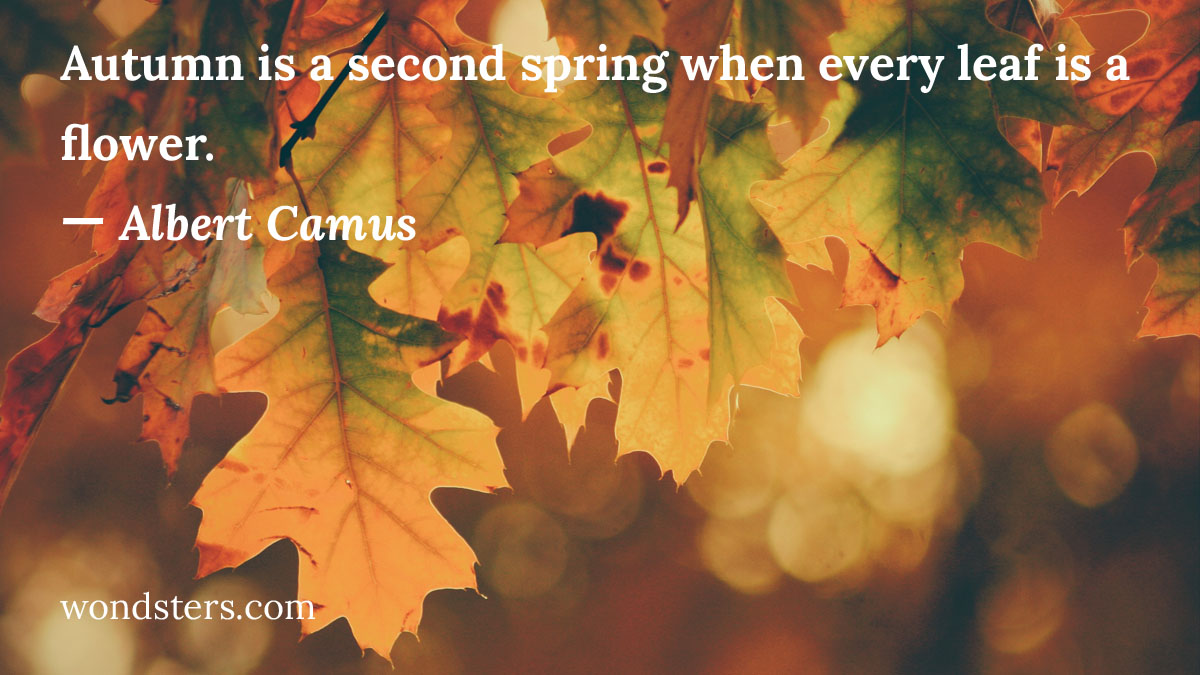 Autumn is a second spring