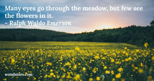 many eyes go through the meadow but few see the flowers in it