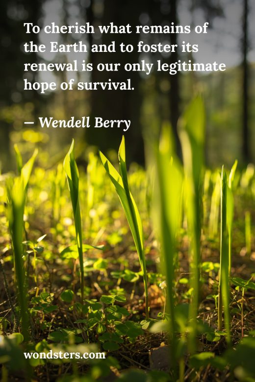 To cherish what remains of the Earth.
