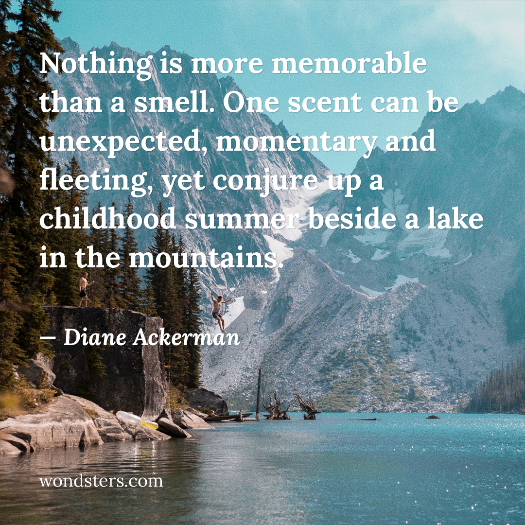 summer lake mountains