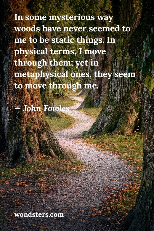 In some mysterious way woods have never seemed to me to be static things. In physical terms, I move through them; yet in metaphysical ones, they seem to move through me. Quote by John Fowles.