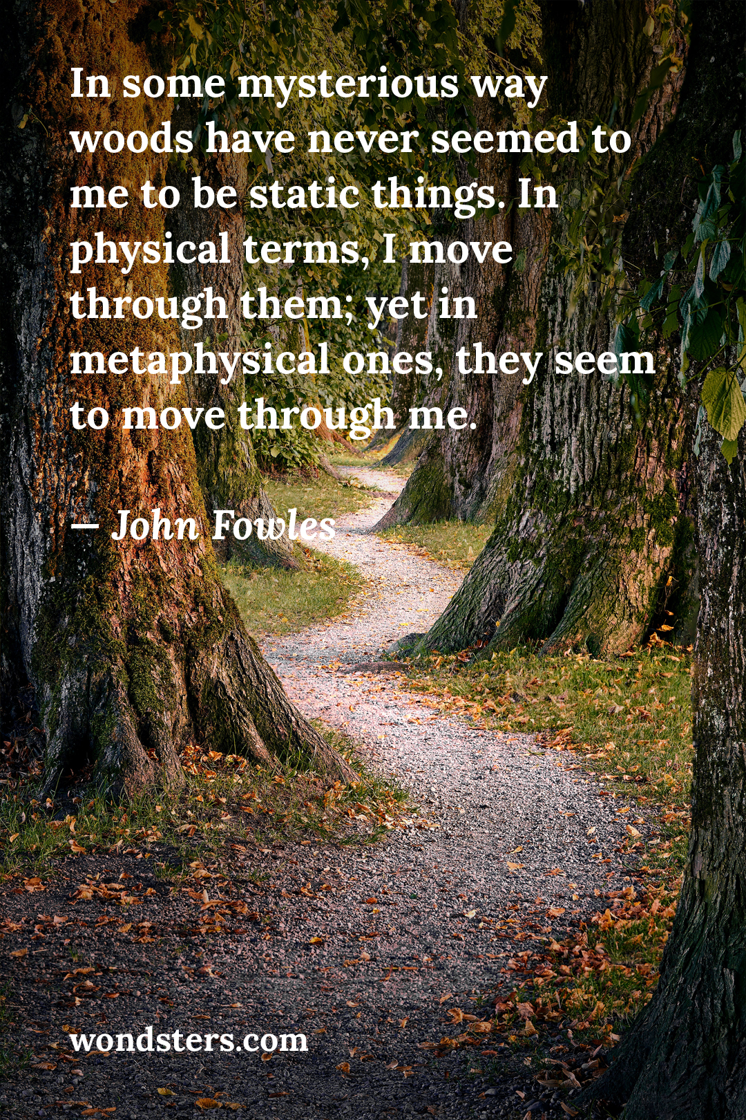 In some mysterious way woods have never seemed to me to be static things. In physical terms, I move through them; yet in metaphysical ones, they seem to move through me. Quote by John Fowles.