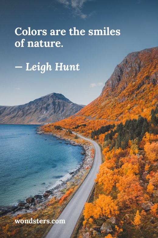 autumnal forest near the sea