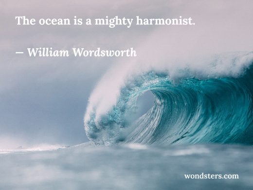 mighty wave