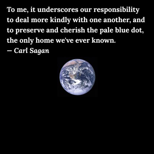 the earth is like a pale blue dot quote by carl sagan