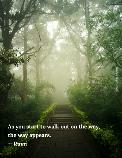 misty way and stairs in the forest