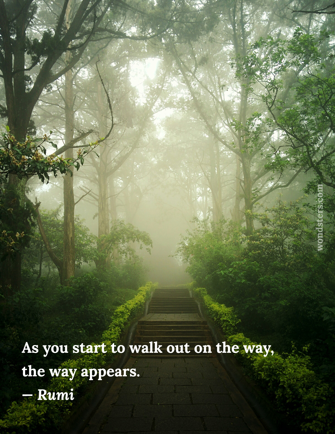 misty way and stairs in the forest