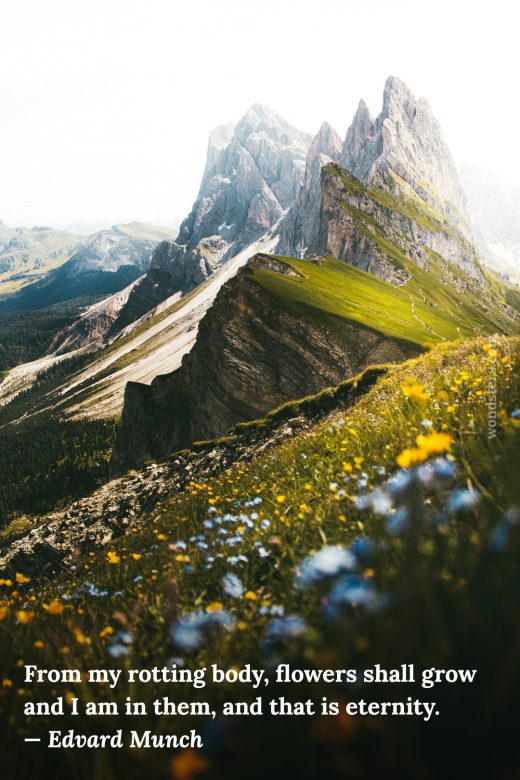 flowers montains eternity