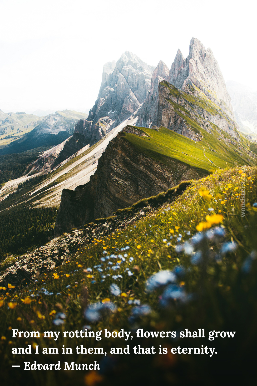flowers montains eternity